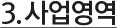 사업영역