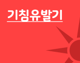 ERP 전문개발