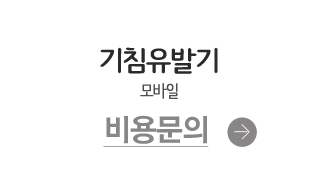 CMS 전문개발
